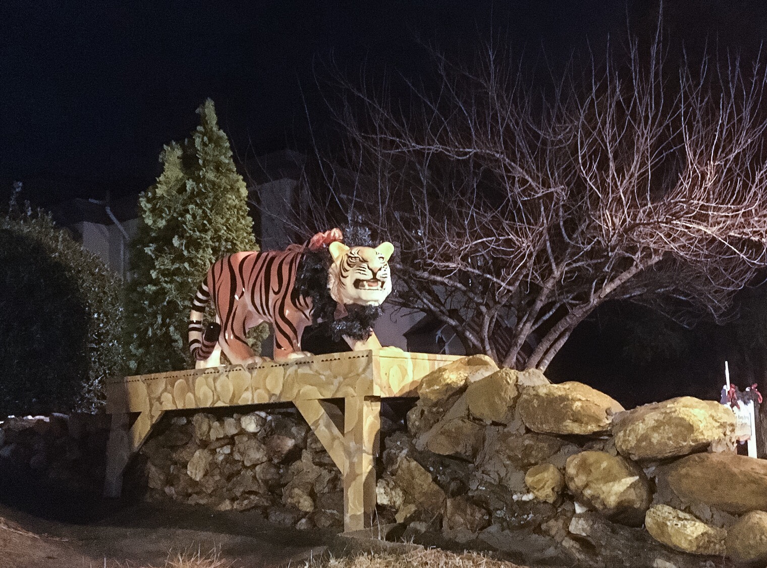 Photo of tiger sculpture from our trip last year. 